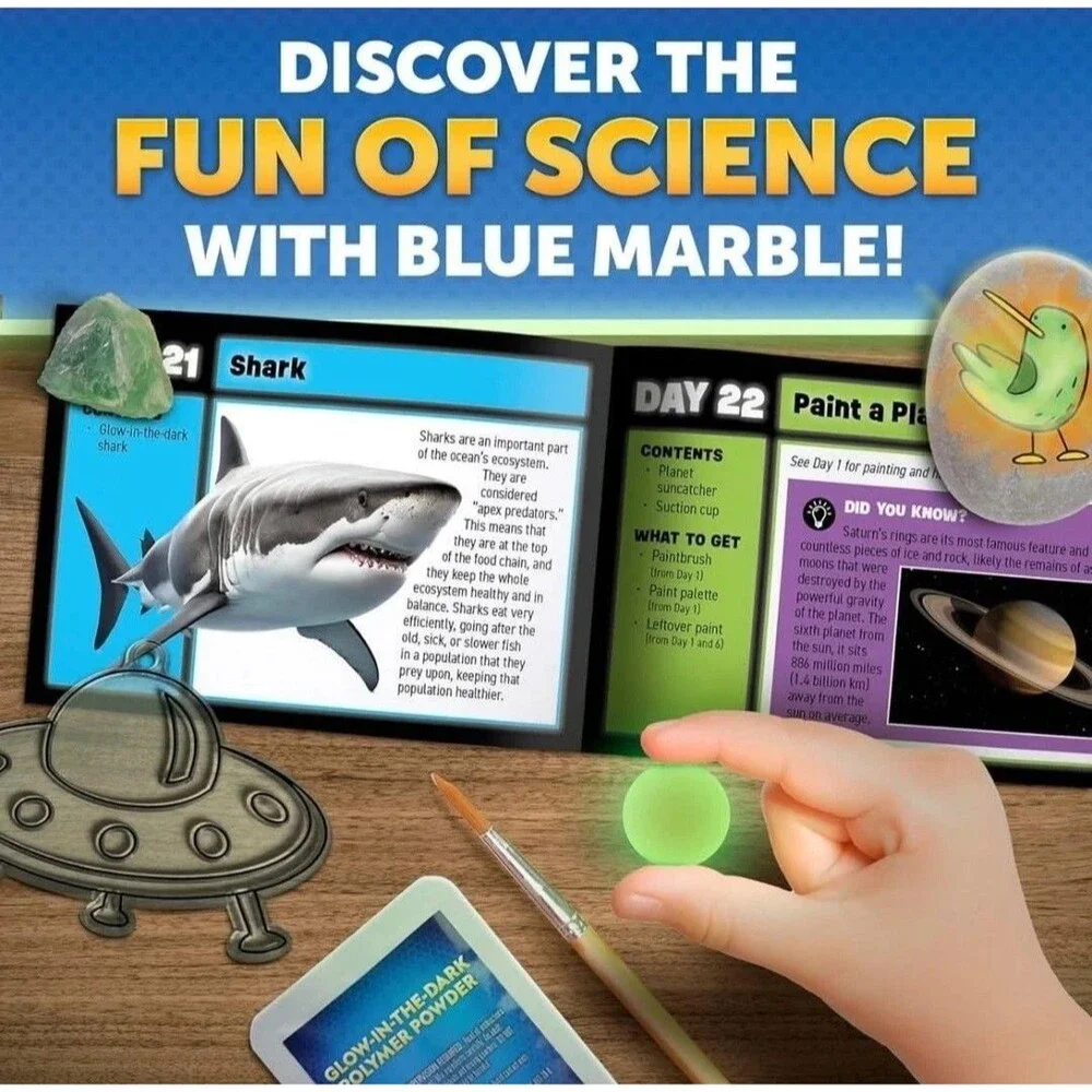 Interactive Glow-in-the-Dark Advent Calendar Science Experiments & Figures B13